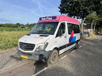 Mercedes Sprinter 313 Cdi Personenbus picture 2