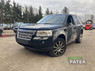 Salvage car Land Rover Freelander Freelander II, Terreinwagen, 2006 / 2014 2.2 td4 16V 2010/12