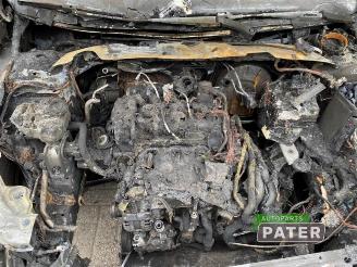 Volkswagen Polo Polo VI (AW1), Hatchback 5-drs, 2017 1.0 TSI 12V picture 13