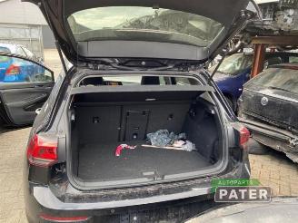 Volkswagen Golf Golf VIII (CD1), Hatchback, 2019 1.5 eTSI 16V picture 22