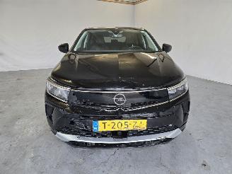 Opel Grandland 1.6 TurboHy Level 3 picture 2
