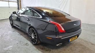Jaguar XJ 3.0 V6D Premium Luxury picture 5