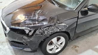 Skoda Scala 1.0 TSI Ambition picture 18