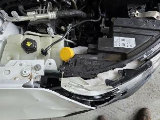 Renault Kangoo 1.5 Blue dCiadvance VAN picture 16