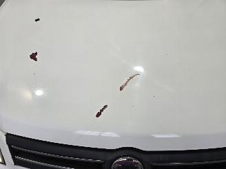 Fiat Panda 1.2 Edizione Cool picture 11