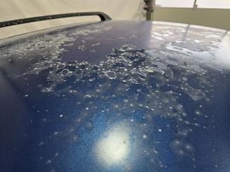 Fiat Panda  picture 9