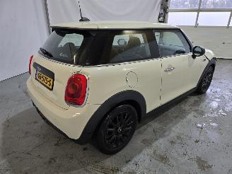 Mini One 1.2 Salt picture 7