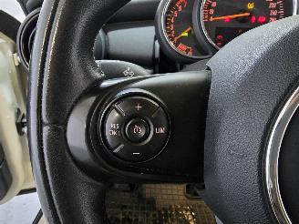 Mini One 1.2 Salt picture 28