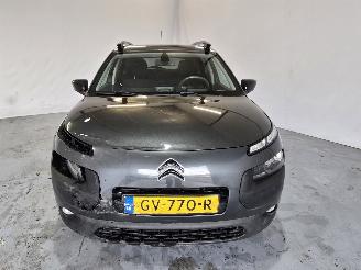 Citroën C4 cactus 1.2 PureTech Shine picture 2