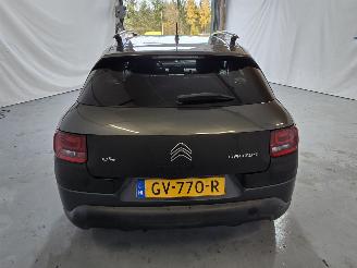 Citroën C4 cactus 1.2 PureTech Shine picture 6