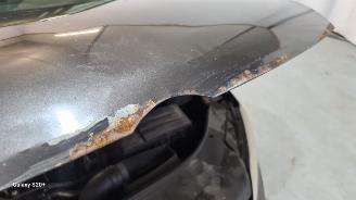 Volkswagen Passat 2.0  TDI picture 12