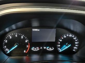 Ford Focus 1.0 EcoBoost Hybrid Trend Edition Business picture 24