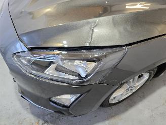 Ford Focus 1.0 EcoBoost Hybrid Trend Edition Business picture 11