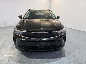 Opel Grandland 1.6 T Hybrid 4x4 GSe picture 2