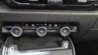 Citroën E-C4 Shine 50 kWh picture 34