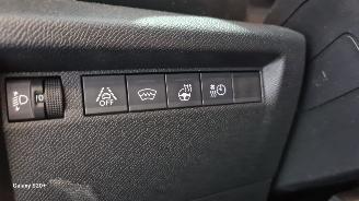 Citroën E-C4 Feel 50 kWh picture 31