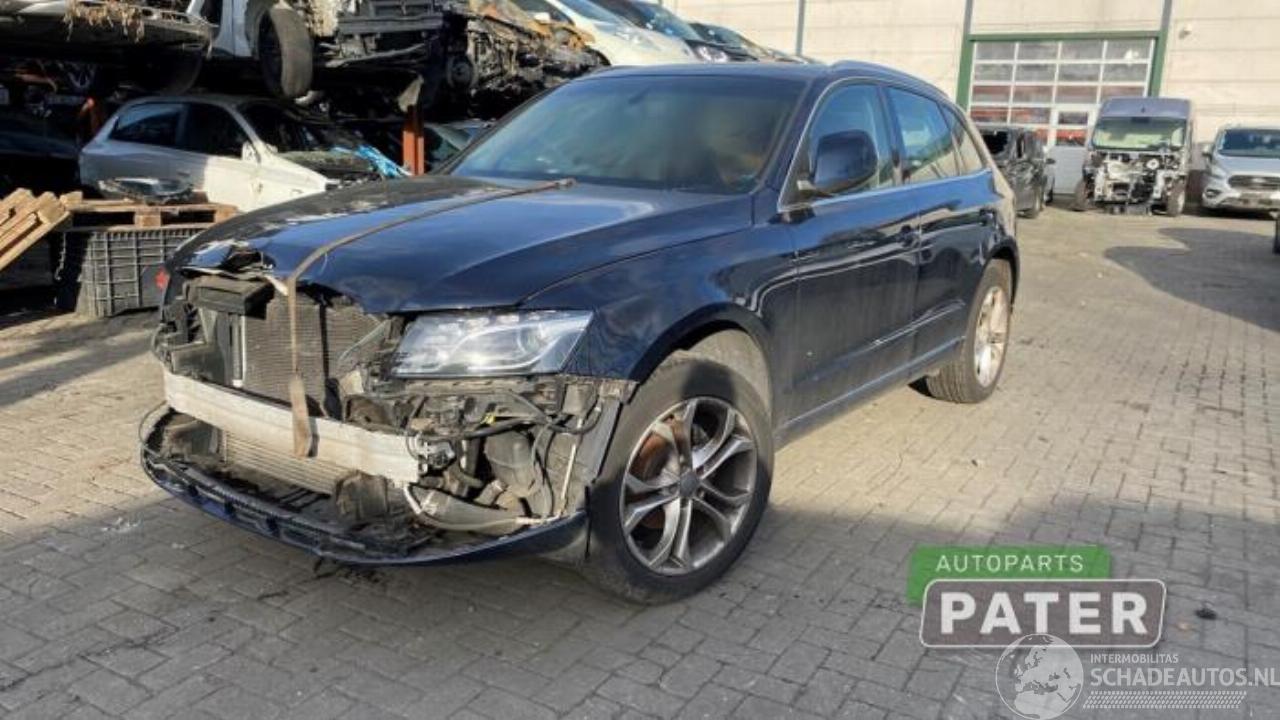 Audi Q5 Q5 (8RB), SUV, 2008 / 2017 2.0 TFSI 16V Quattro