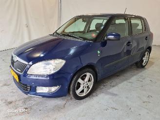 damaged passenger cars Skoda Fabia 1.2 TDI Greenline 2011/10
