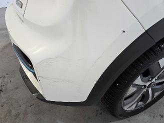 Kia Niro ExecutiveLine 64 kWh picture 11