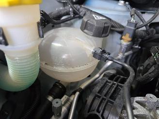 Fiat 600 1.2 Hybrid Urban picture 14