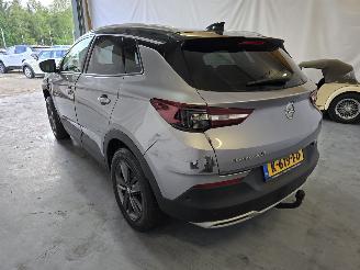 Opel Grandland X picture 5