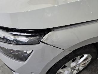Skoda Kamiq 1.0 TSI Business Edition picture 10