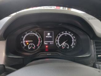 Skoda Kodiaq 1.5 TSI Ambition picture 24