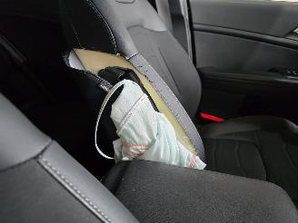 Kia Sportage 1.6 T-GDi DynPlusL picture 17