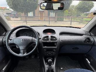 Peugeot 206 1.4 Gentry picture 11