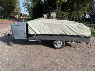 skadebil auto Cabanon Scenic Magna 2015/1