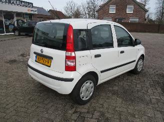 Fiat Panda 1.2 Active picture 7