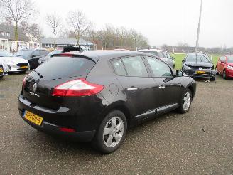 Renault Mégane 2.0 Dynmique Aut NAP picture 7