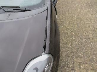 Fiat Punto Evo 1.3 M-Jet Dynamic picture 10