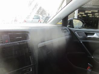 Volkswagen e-Golf E-DITION picture 32