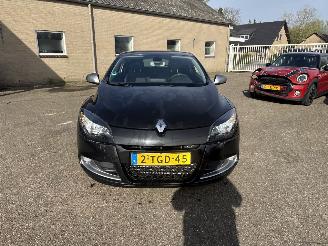 Renault Mégane Coupe 2.0 TCe GT picture 2