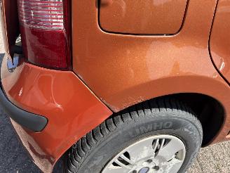 Fiat Panda 1.2 Edizione Cool picture 11
