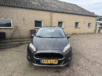 Ford Fiesta 1.25 picture 2