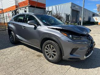 Unfallwagen Lexus NX 300h AWD 2018/2