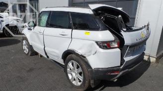 Land Rover Range Rover Evoque  picture 4