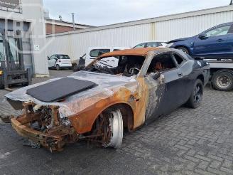 Autoverwertung Dodge Challenger Challenger, Coupe, 2007 5.7 Hemi V8 2010/10