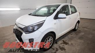 Coche siniestrado Kia Picanto Picanto (JA), Hatchback, 2017 1.0 DPi 12V 2023/6