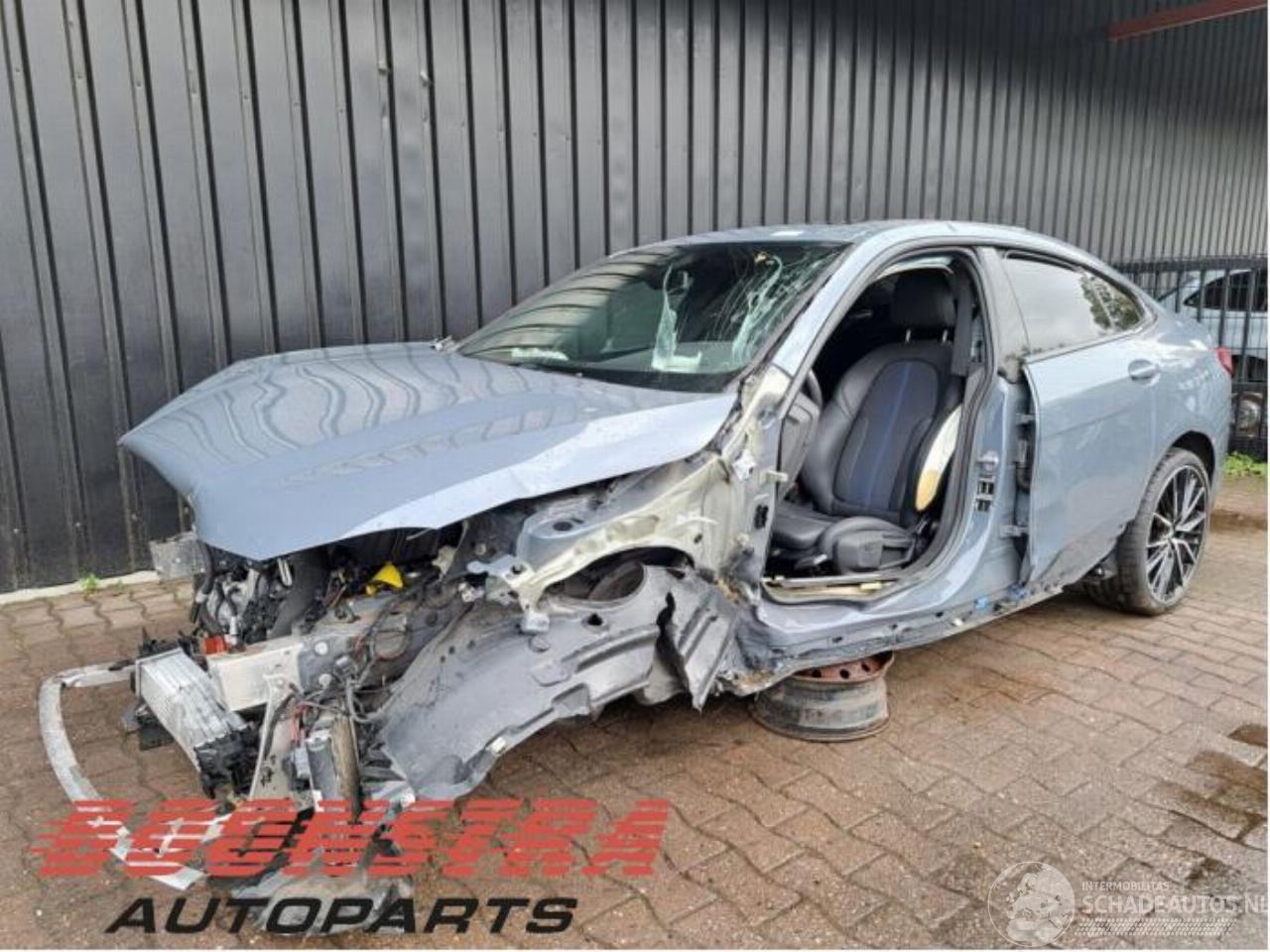 BMW 2-serie 2 serie Gran Coupe (F44), Sedan, 2019 218i 1.5 TwinPower Turbo 12V