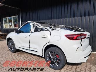 Ford Kuga Kuga III (DFK), SUV, 2019 2.5 PHEV 16V picture 5