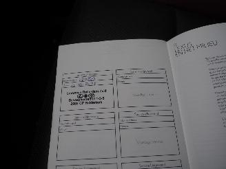 Lexus NX 300h awd f sport picture 41