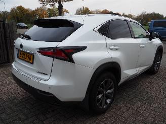 Lexus NX 300h awd f sport picture 4