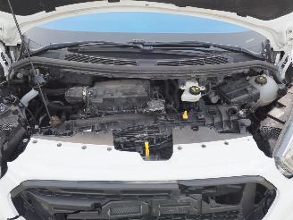 Ford Transit Custom Dubb cabine Limitred Automaat picture 13