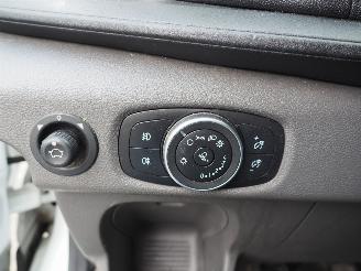 Ford Transit 2.0TDCI L4H3 Trend Motorschaden picture 29