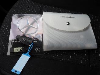 Mercedes Vito 110CDI Functional Lang picture 24