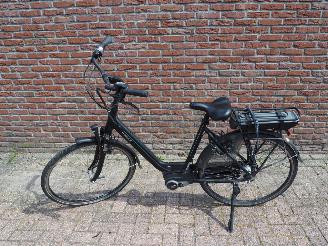 Batavus  Wayz E-go  Active picture 1