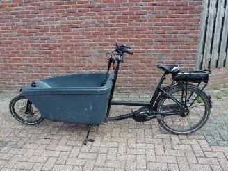 krockskadad bil fiets Overige  Dolly Bakfiets Family 2020/12